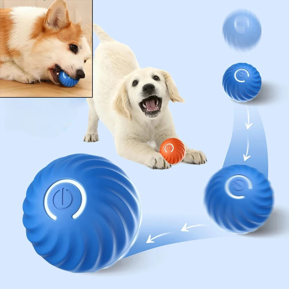 Smart Ball™ Pet Toy