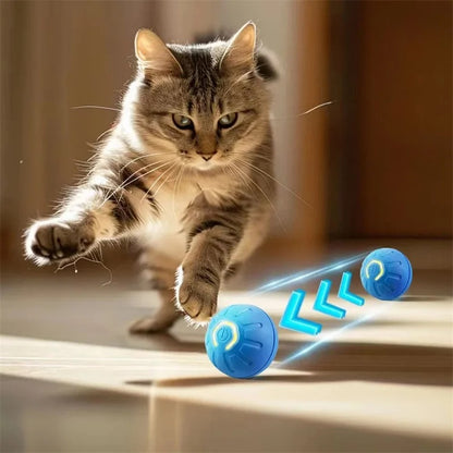 Smart Ball™ Pet Toy