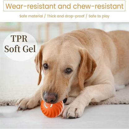 Smart Ball™ Pet Toy