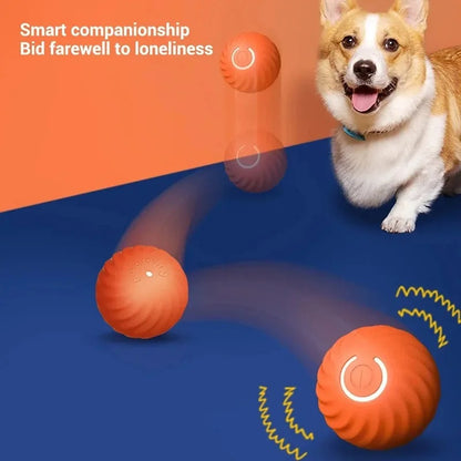 Smart Ball™ Pet Toy